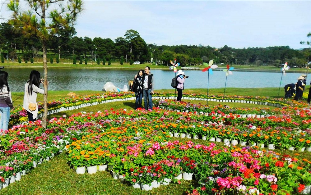 Vườn hoa Đà Lạt là một trong những địa điểm du lịch tại Đà Lạt thu hút du khách tham quan.