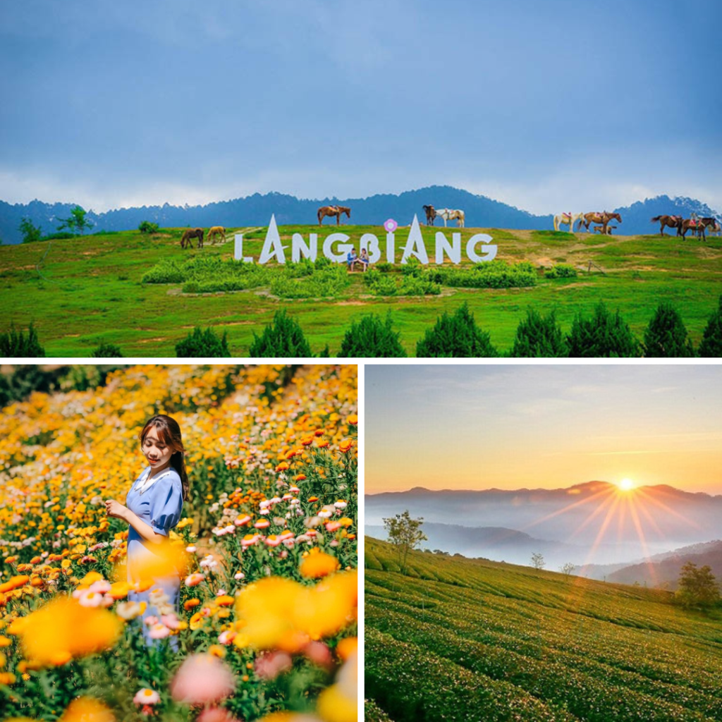 Khi ai hỏi nên đi Đà Lạt mùa nào đẹp nhất, chẳng đâu xa là những tháng đầu năm từ tháng 1 đến tháng 4 với một thành phố nở rộ sắc hoa