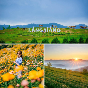 Khi ai hỏi nên đi Đà Lạt mùa nào đẹp nhất, chẳng đâu xa là những tháng đầu năm từ tháng 1 đến tháng 4 với một thành phố nở rộ sắc hoa