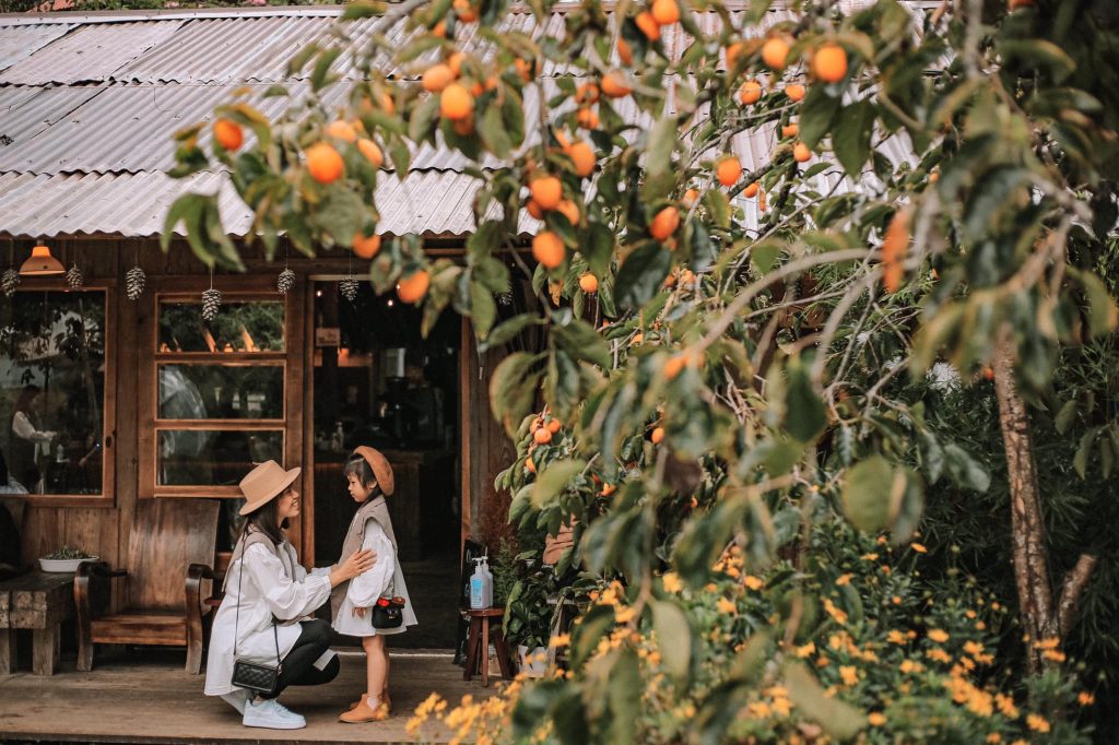 Background tuyệt vời cho du khách thỏa sức check in