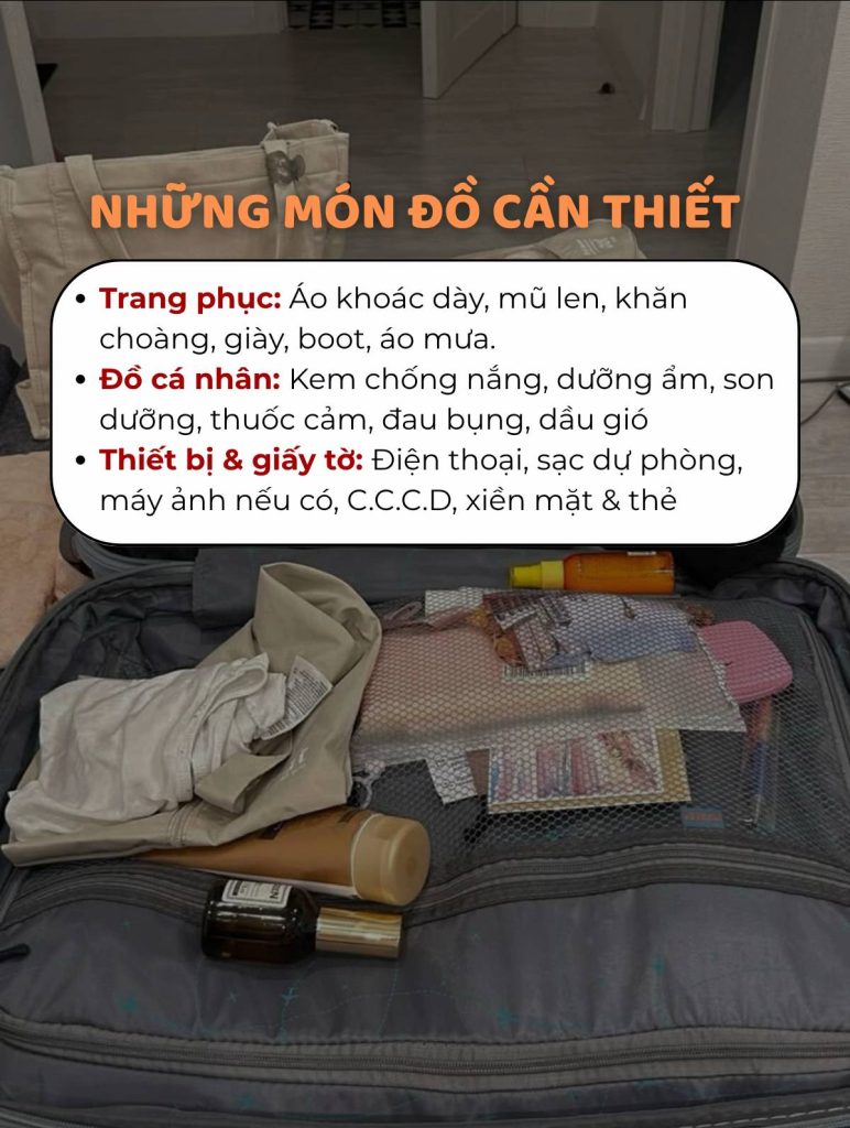 Những món đồ cần thiết 