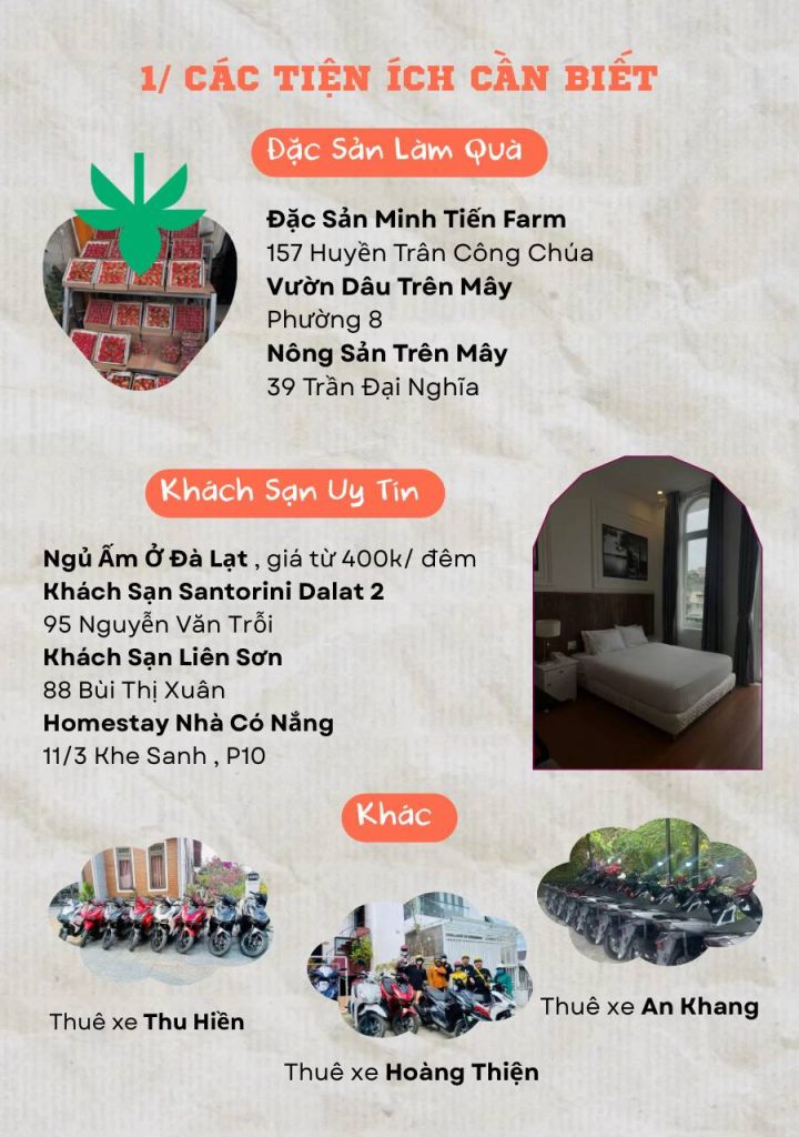Địa chỉ mua đặc sản, khách sạn uy tín và dịch vụ thuê xe khi du lịch Đà Lạt