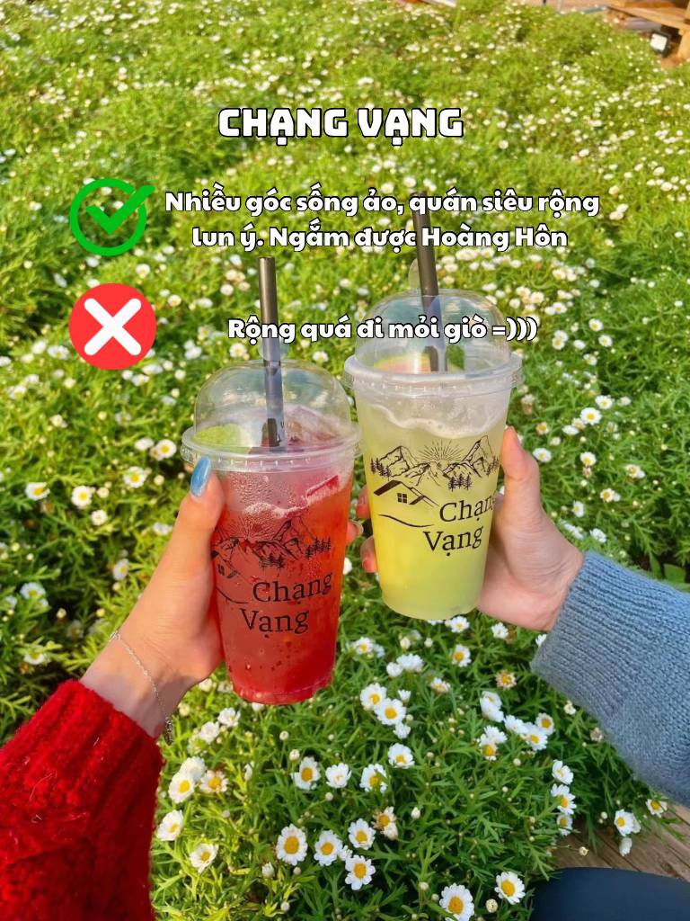 gợi ý thêm trải nghiệm thú vị cho ai đang tìm kiếm Đà Lạt ăn gì uống gì khi đi café