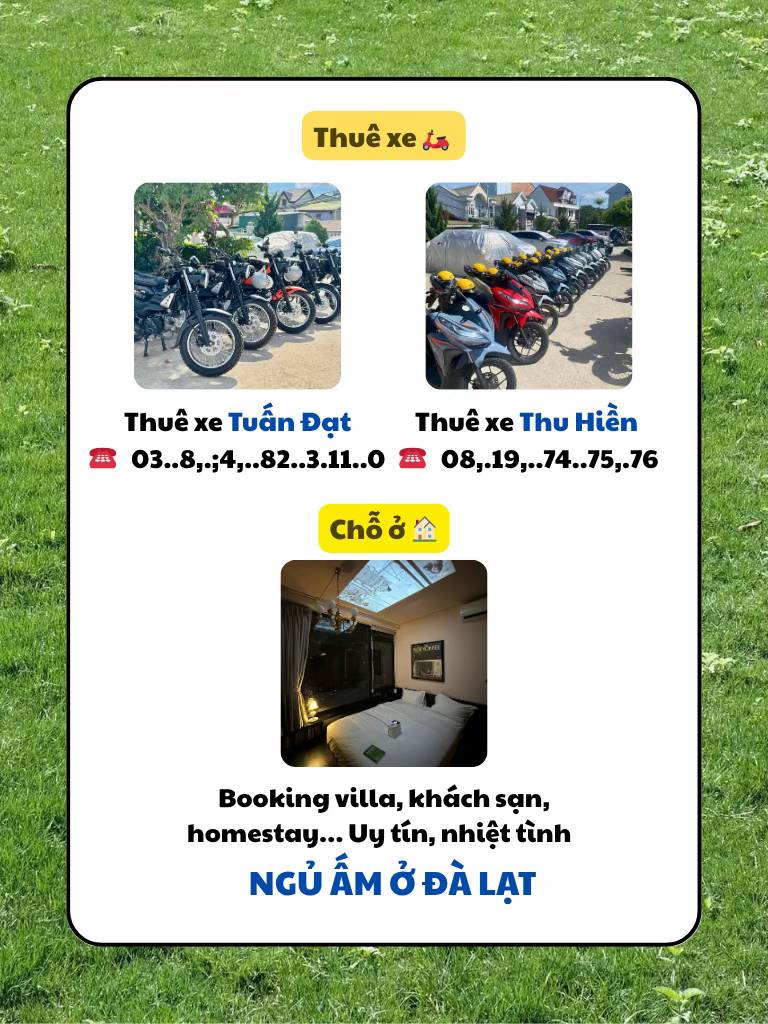 Dịch vụ thuê xe và chỗ ở để khám phá ẩm thực, giúp du khách dễ dàng trải nghiệm Đà Lạt ăn gì