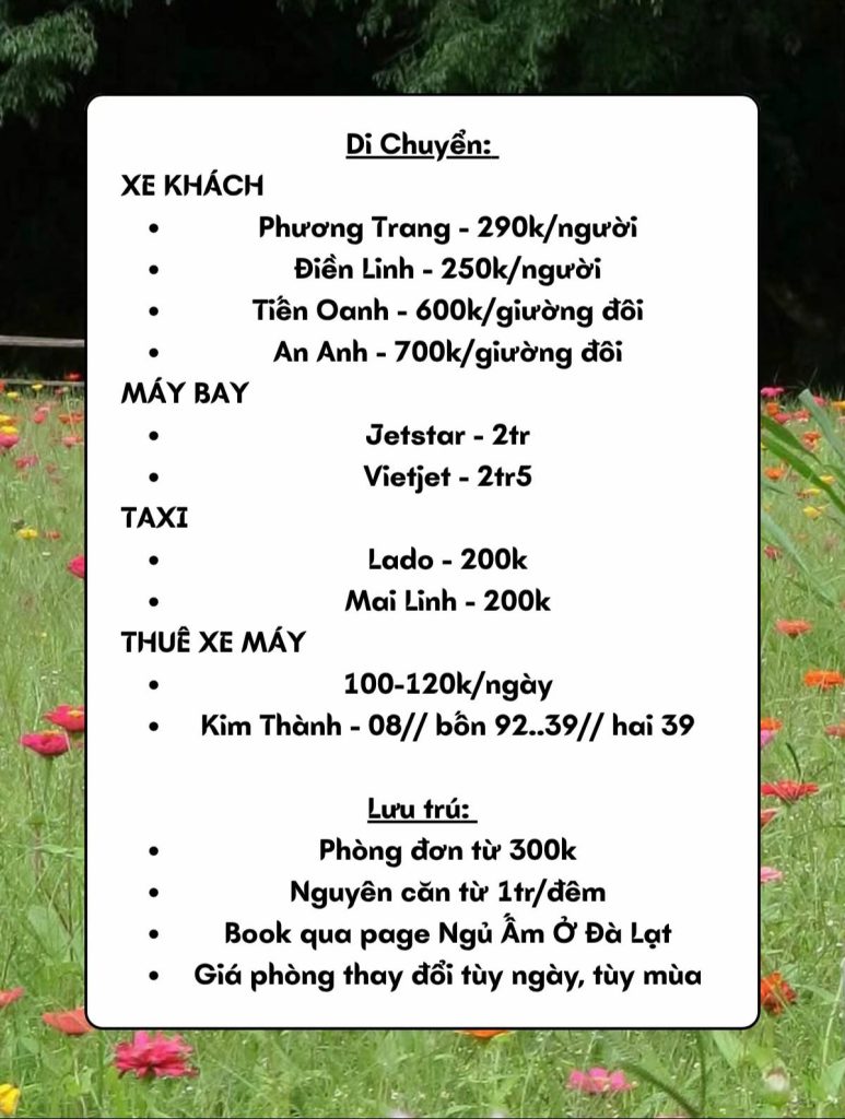 Các lưu ý về di chuyển và thuê xe ở Đà Lạt