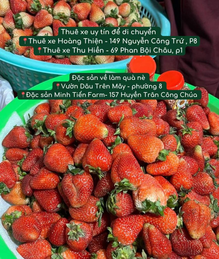 Tips mua đặc sản làm quà