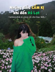 Đi Đà Lạt ăn gì mới ngon?