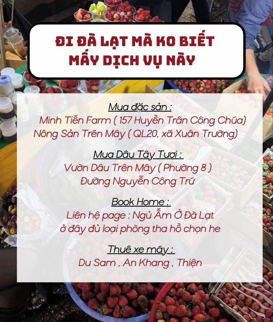 Các lưu ý về thuê xe máy, mua đặc sản ở Đà Lạt