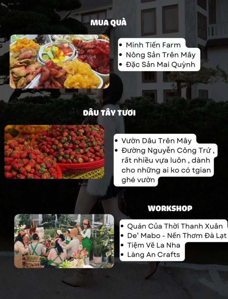 Chỗ mua nông sản, hái dâu tươi