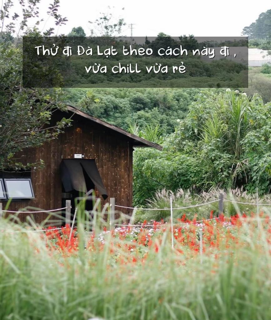 gợi ý địa điểm thư giãn trước khi khám phá quán ăn ngon Đà Lạt