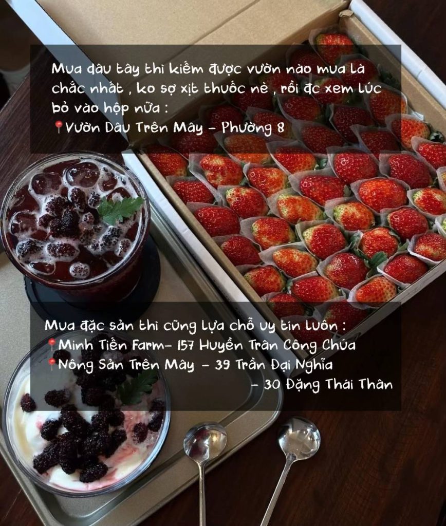 Đặc sản và quà mang về