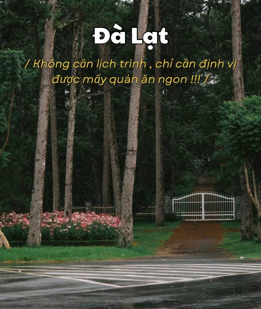 bí kíp du lịch và quán ăn ngon Đà Lạt