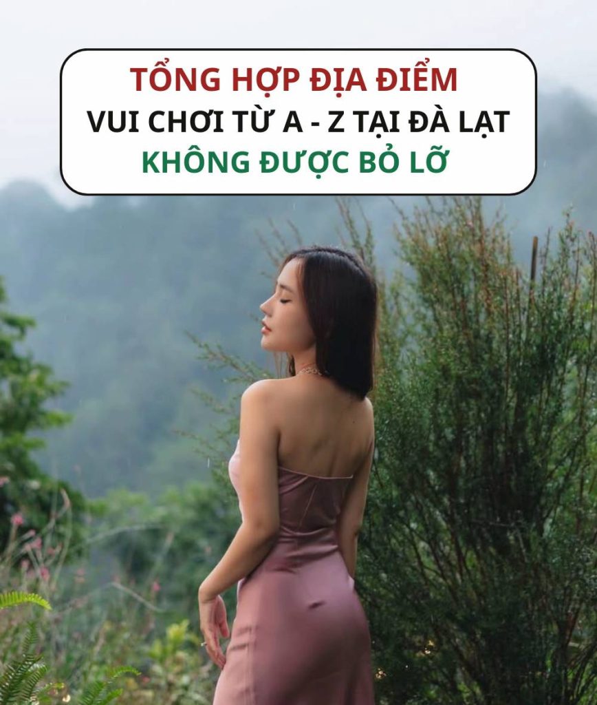 Check-in Đà Lạt với danh sách quán ăn ngon và địa điểm vui chơi A-Z