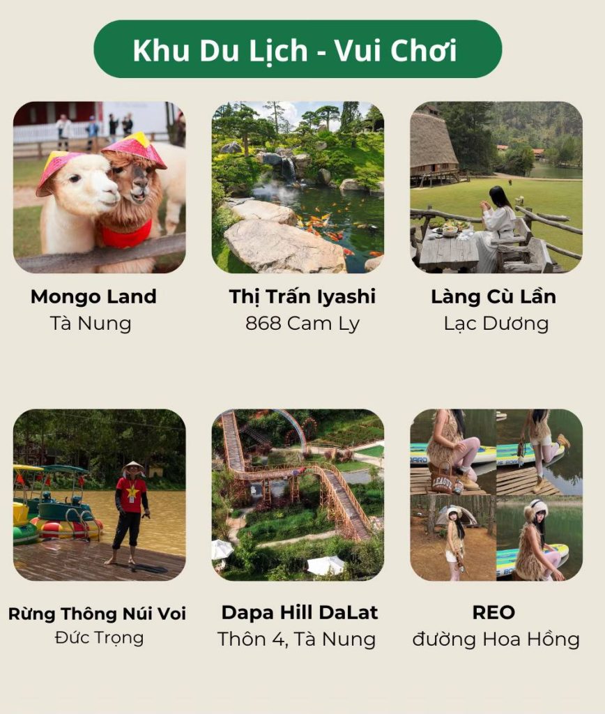 Địa điểm vui chơi Đà Lạt nổi bật như Mongo Land, Làng Cù Lần, Thị Trấn Iyashi